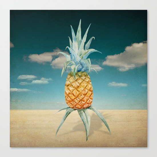 pineapple Canvas Print
