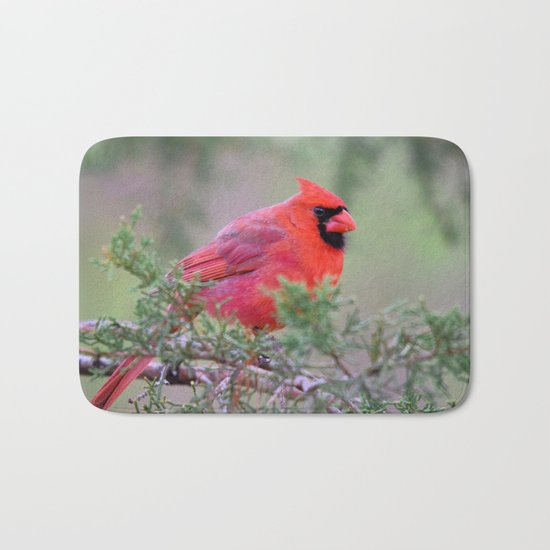 Spring Cardinal Bath Mat