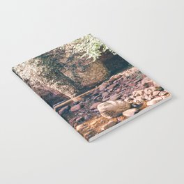River Canyon | Nature Photography Notebook