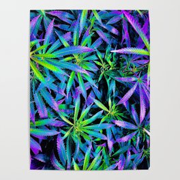 Neon Cannabis Poster