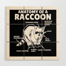Sweet Raccoon Explanation Anatomy Of A Raccoon Wood Wall Art