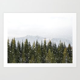 Winter Pine Trees | Snow Landscape in the North of Norway Art Print | Nature Travel Photography Art Print