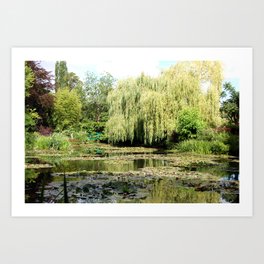 Willow Tree in Monet's Garden  Art Print
