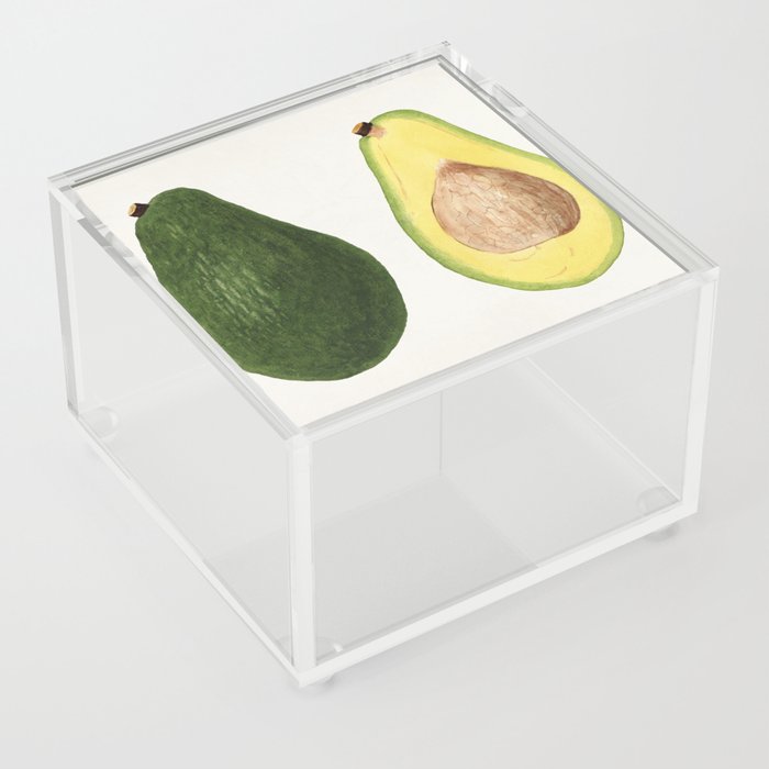 Avocados (Persea) Acrylic Box