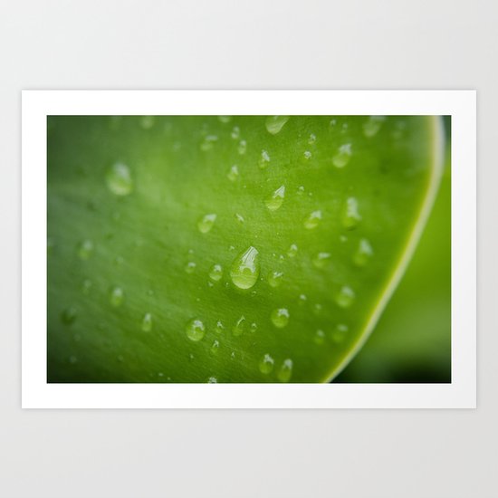 Leaves In Naples 2 Macro Art Print