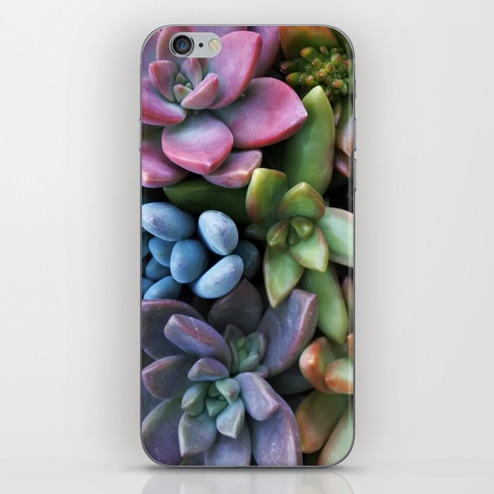 Colorful Succulents iPhone Skin