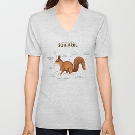 Anatomy of a Squirrel V Neck T Shirt