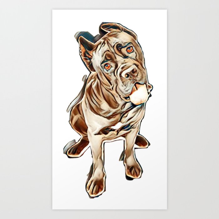 Thoroughbred Cane Corso Dog Sitting With Tongue Sticking Out And Looking Carefully At The Camera Is Art Print By Kemnabi Society6