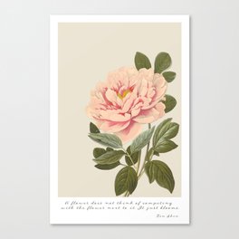 Pink Peony graphic print with quote Canvas Print