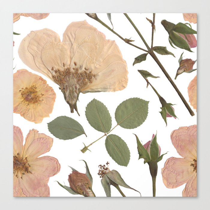 Rose Garden Canvas Print