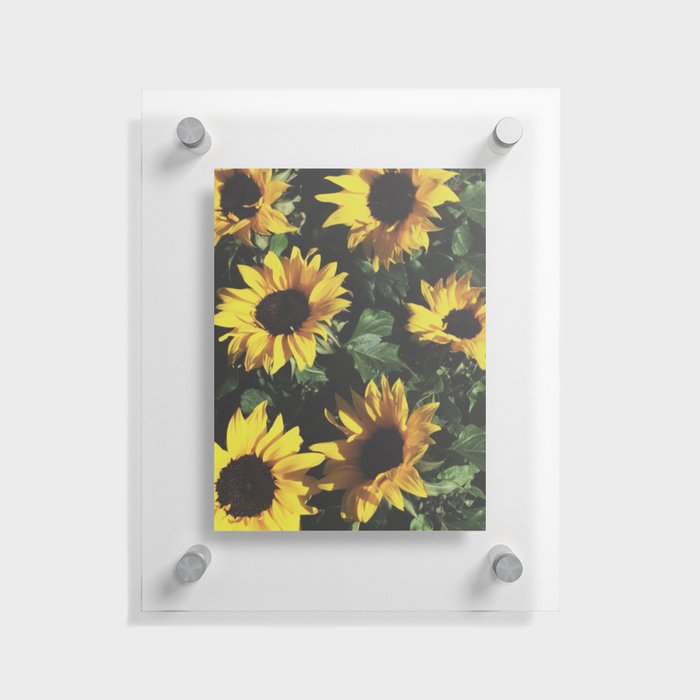 Vintage Sunflowers Floating Acrylic Print