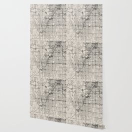 Olathe USA - Black and White city Map Wallpaper
