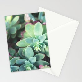 Green Roses Stationery Cards
