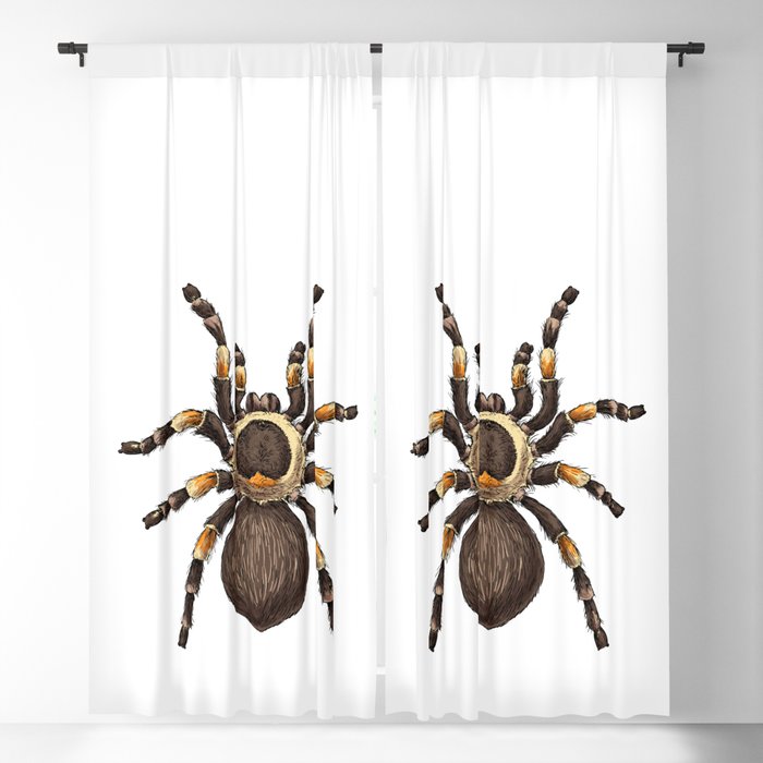 Tarantula Blackout Curtain