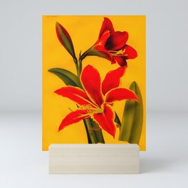 Red Amaryllis Mini Art Print