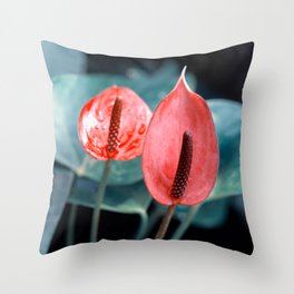 Beautiful Anthurium Flamingo Flower In Varitone Red Throw Pillow