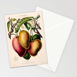 Mango from "Flore d’Amérique" by Étienne Denisse, 1840s Stationery Card