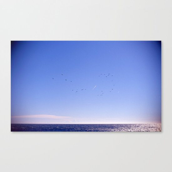 Birds Blue Sky Constellation Canvas Print