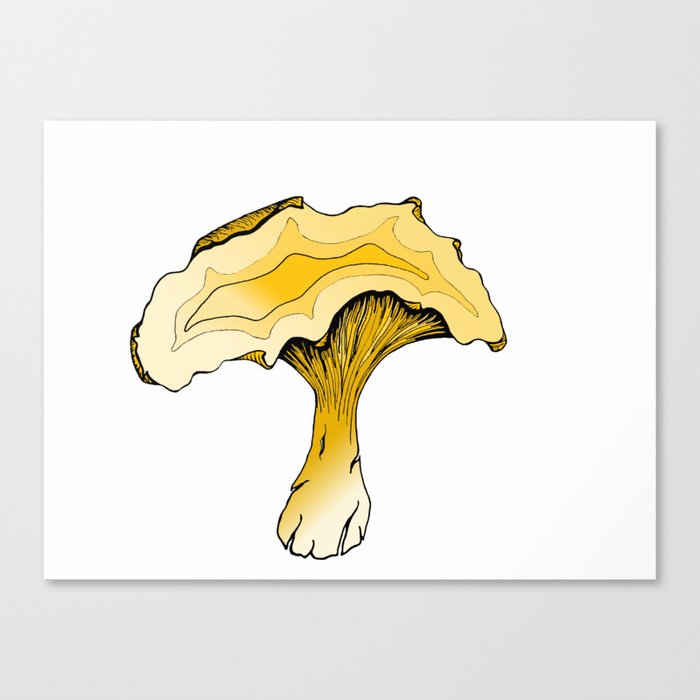 Chanterelle Mushroom, Hand drawn, Pen and Ink, Food, Nature Canvas Print