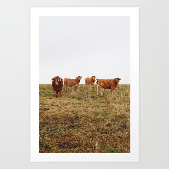 Cilleros Spain Art Print