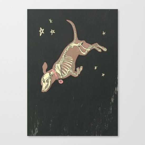 Falling Canvas Print
