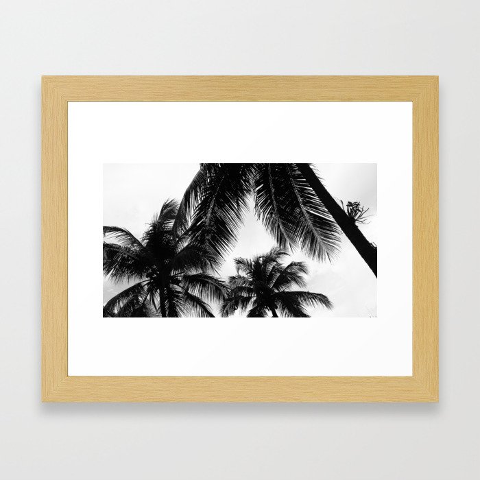 Black and White Palms Framed Art Print