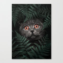 Orange Eyes British Shorthair Cat Canvas Print