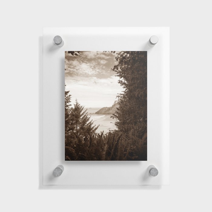 Oregon Coast Sepia Floating Acrylic Print