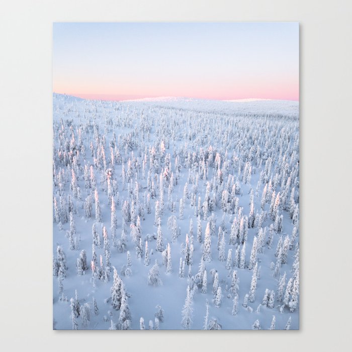 Frozen Forest | Aerial Drone Canvas Print