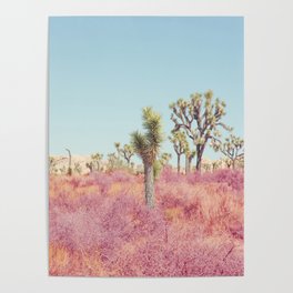 Surreal Pink Desert - Joshua Tree Landscape Photography Poster