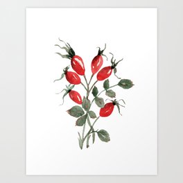 Watercolor Rosehips Art Print | Red, Christmas, Watercolor, Botanical, Nature, Forest, Shrub, Decorative, Painting, Ornamental 