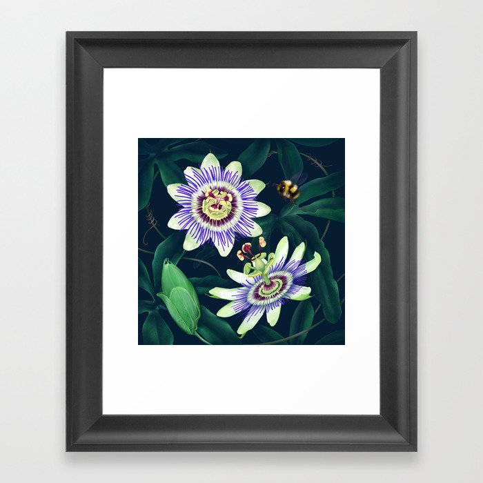 Passion Flower Vine Framed Art Print
