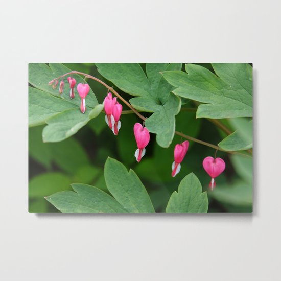 Blooming Their Little Hearts Out Metal Print