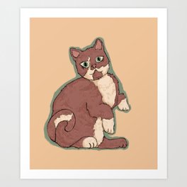 Brown And White Cat Art Print