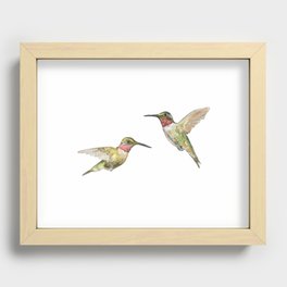 Ruby Throated Hummingbird Watercolor Recessed Framed Print