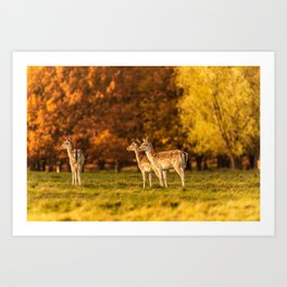 Three calves standing Art Print | Yellow, England, Color, Animal, Day, Grass, Photo, Calf, Wildlifephotography, Tree 