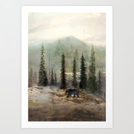 Mountain Black Bear Art Print