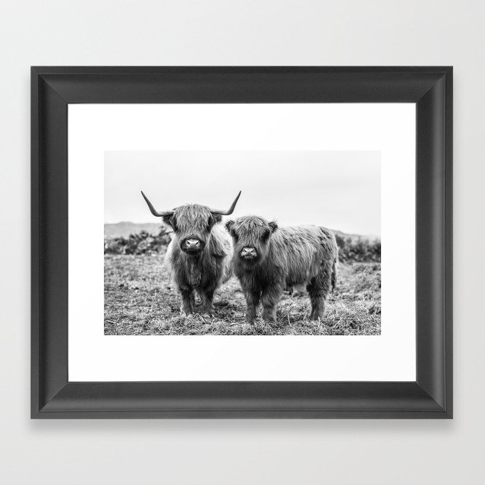 Highland Cow & Calf Framed Art Print