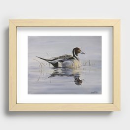 Pintail Recessed Framed Print