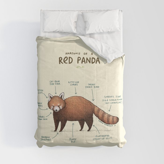 Anatomy of a Red Panda Comforter