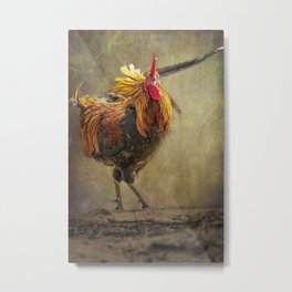 Kauai Rooster Metal Print | Textures, Wild, Outdoors, Posing, Kauai, Hawaii, Oregonphotographer, Chicken, Belindagreb, Art 