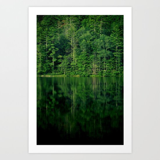 Forest Art Print