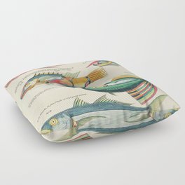 fish by Louis Renard Floor Pillow