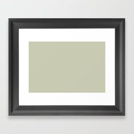 Pale Pastel Green Solid Color Pairs Benjamin Moore Soft Fern 2144-40 - Trending Color 2019 Framed Art Print