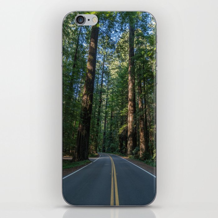 Avenue of the Giants iPhone Skin