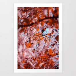Forrest blossom | Fine art photography Art Print