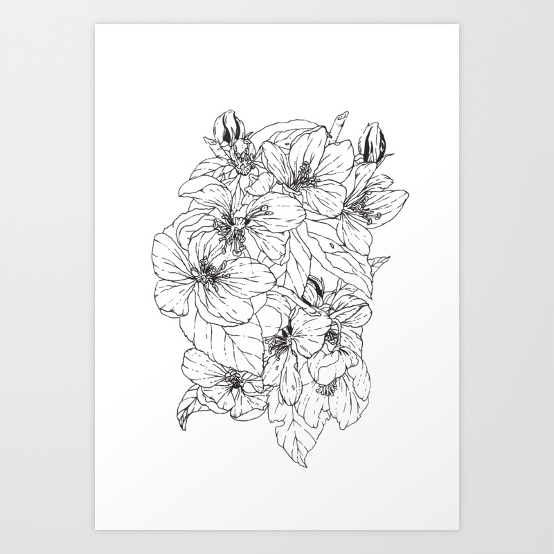 Spring Crabapple Blossoms By Brush And Bird Line Art Illustration Art Print By Amberhartin Society6