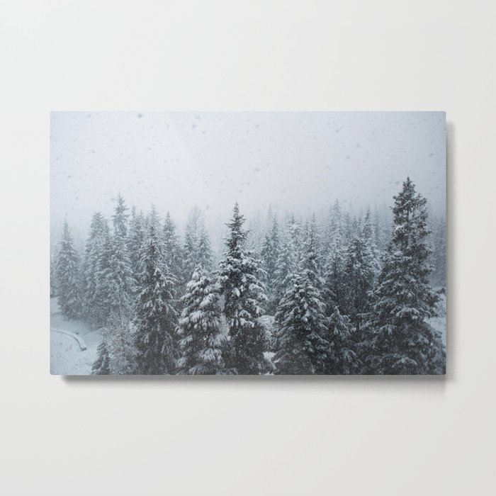 Girdwood, Alaska Metal Print