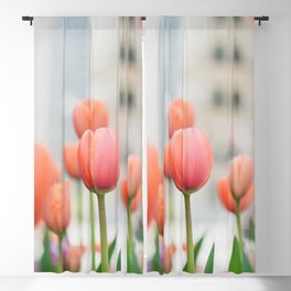 Tulips on Michigan Avenue - Chicago Photography Blackout Curtain