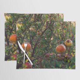 Pomengrenate Tree in Greece | Vintage Vibe Warm Colored Fine Art Photograph | Europe Summer on the Greek Islands Placemat